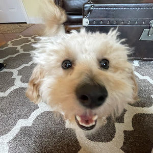 Meet your Posher, Kathryn